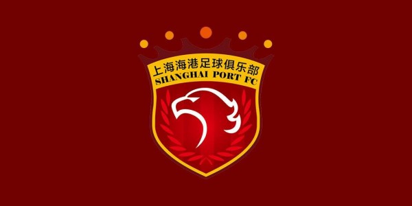 MK体育-东体：海港间歇期只有2天假期，徐新和李昂出现了伤情